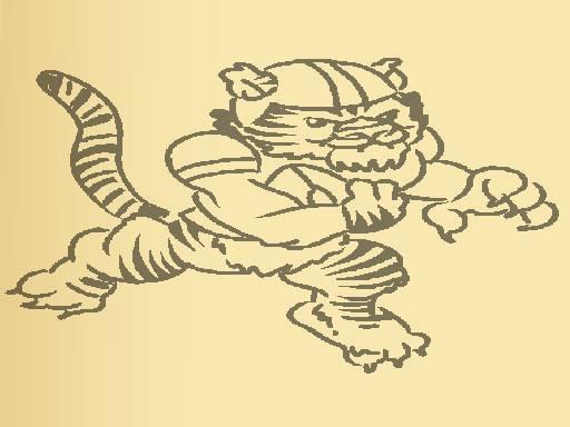 Tiger Coloring Book